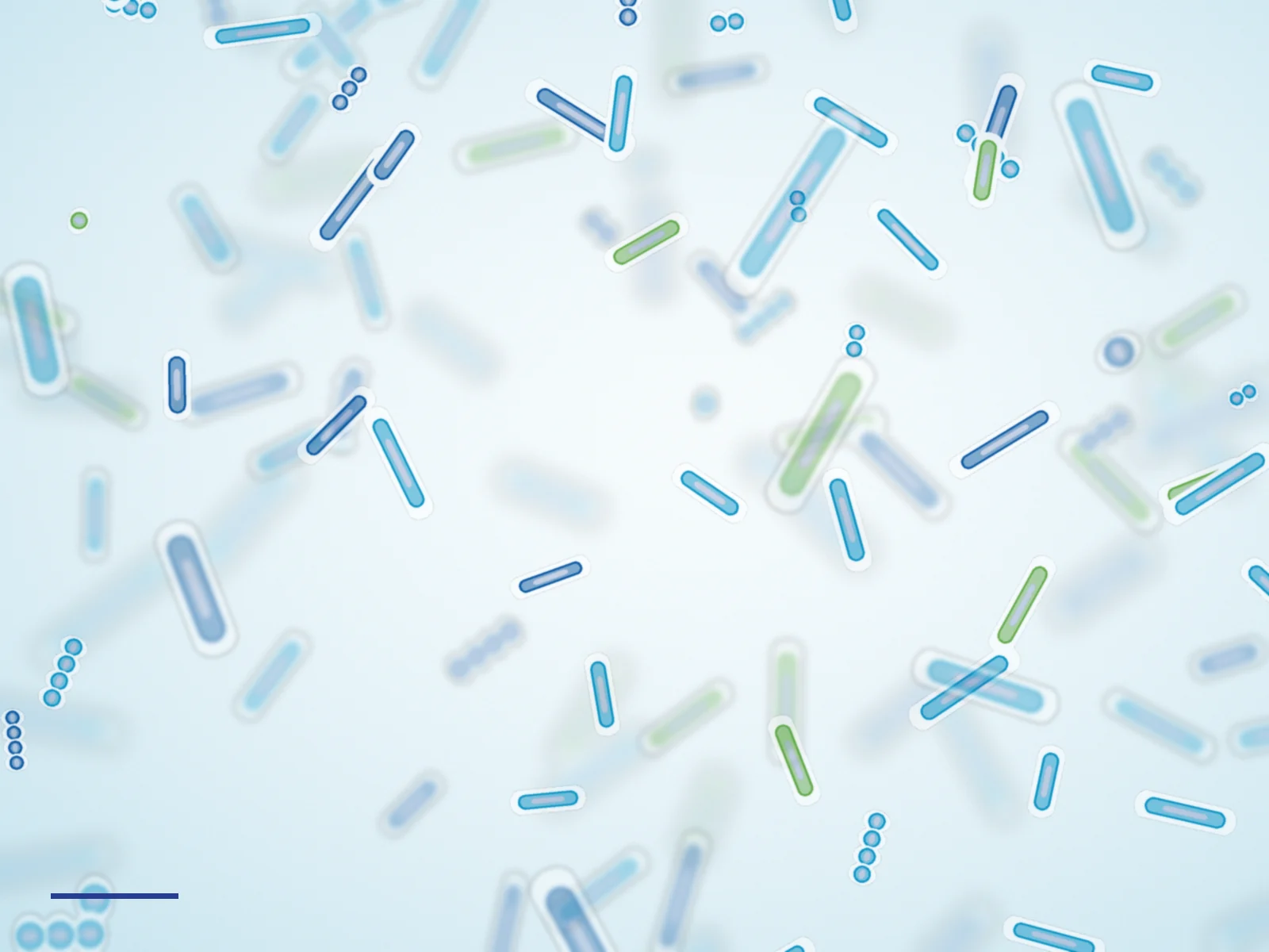 Rod-shaped probiotic bacteria under a microscope, tinted cyan and green